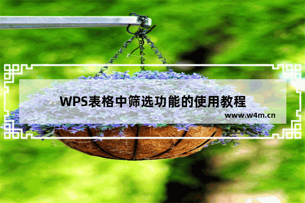 WPS表格中筛选功能的使用教程