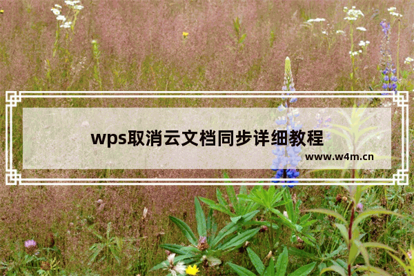 wps取消云文档同步详细教程