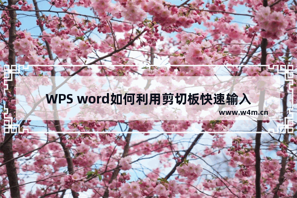 WPS word如何利用剪切板快速输入