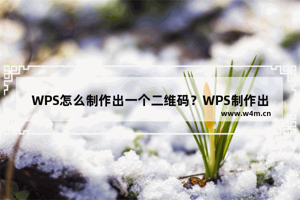 WPS怎么制作出一个二维码？WPS制作出一个二维码的方法