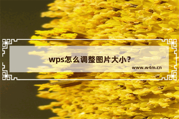 wps怎么调整图片大小？