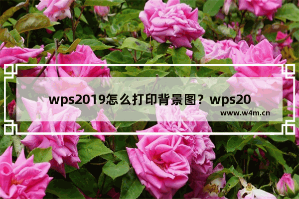 wps2019怎么打印背景图？wps2019打印背景图案教程