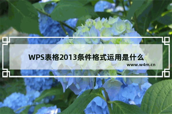 WPS表格2013条件格式运用是什么