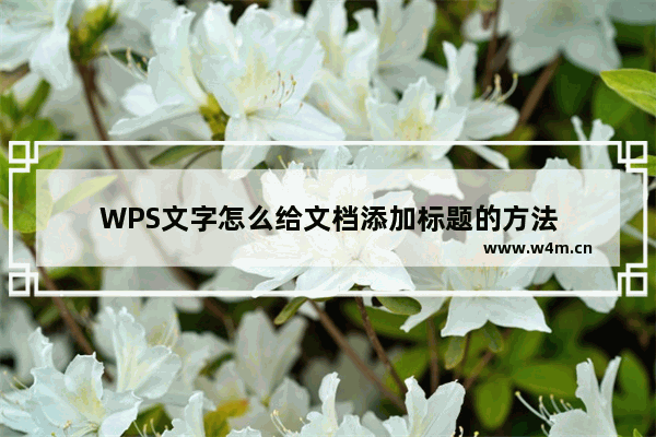 WPS文字怎么给文档添加标题的方法