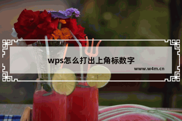 wps怎么打出上角标数字