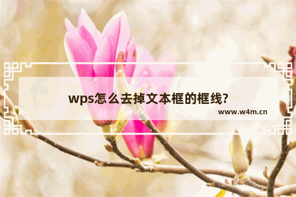 wps怎么去掉文本框的框线?