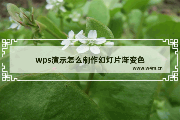 wps演示怎么制作幻灯片渐变色