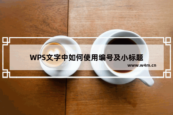 WPS文字中如何使用编号及小标题