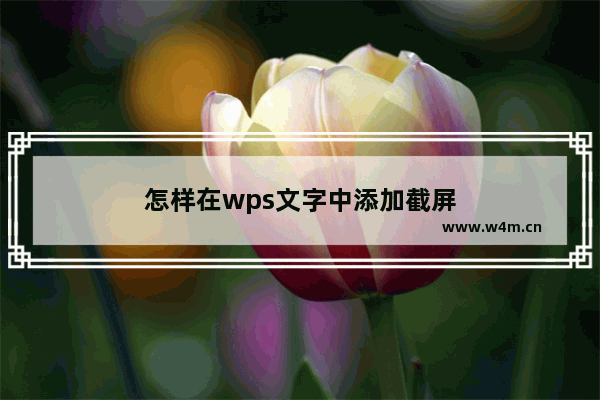 怎样在wps文字中添加截屏