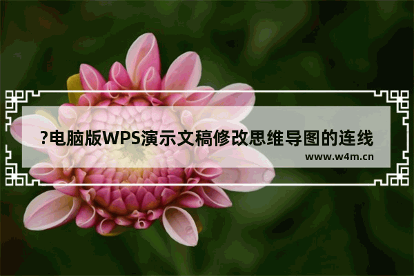 ?电脑版WPS演示文稿修改思维导图的连线粗细