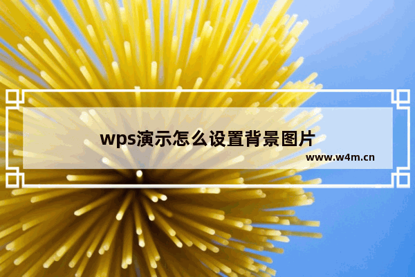 wps演示怎么设置背景图片