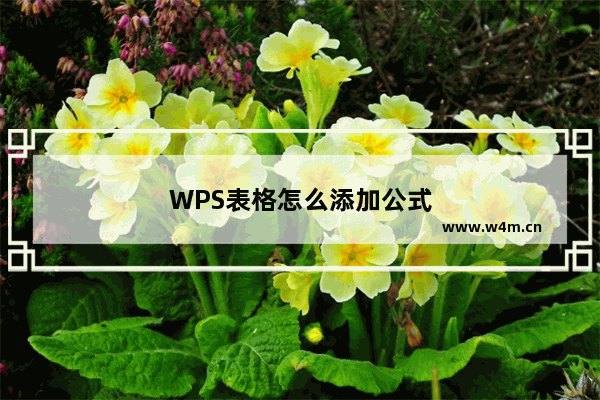 WPS表格怎么添加公式