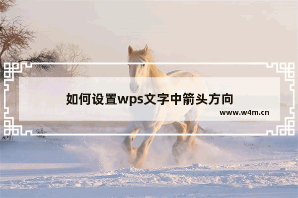 如何设置wps文字中箭头方向