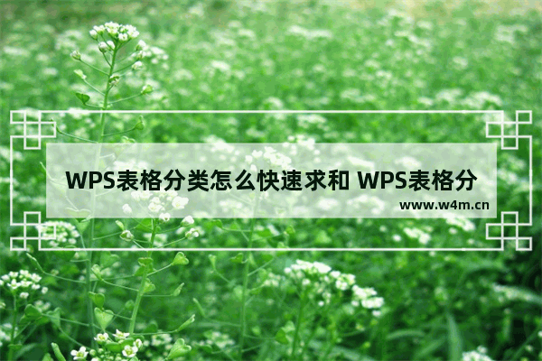 WPS表格分类怎么快速求和 WPS表格分类快速求和操作教程分享