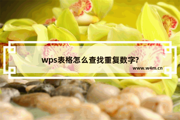 wps表格怎么查找重复数字?