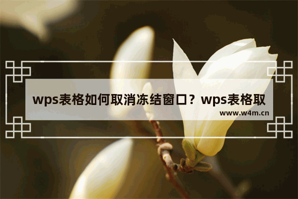 wps表格如何取消冻结窗口？wps表格取消冻结窗口的方法教程