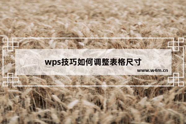 wps技巧如何调整表格尺寸