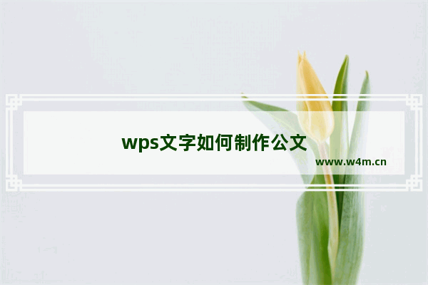 wps文字如何制作公文