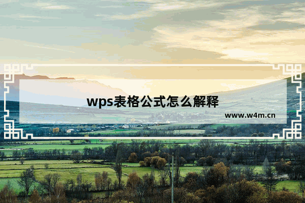 wps表格公式怎么解释