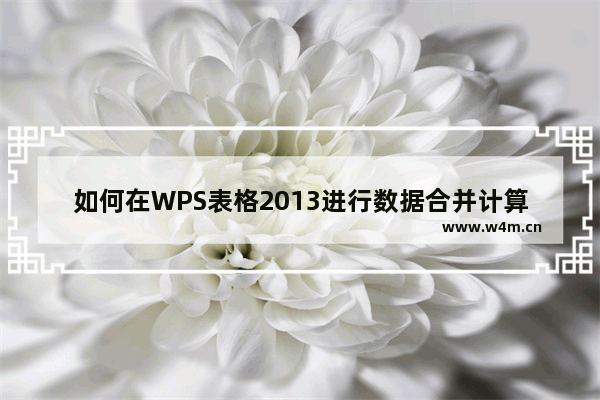 如何在WPS表格2013进行数据合并计算