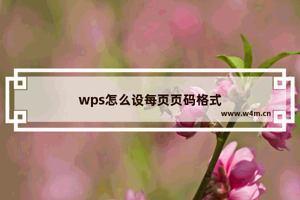 wps怎么设每页页码格式