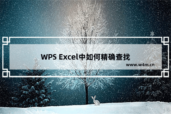 WPS Excel中如何精确查找