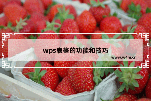 wps表格的功能和技巧