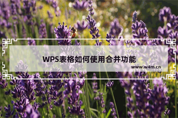 WPS表格如何使用合并功能