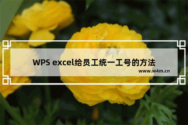 WPS excel给员工统一工号的方法