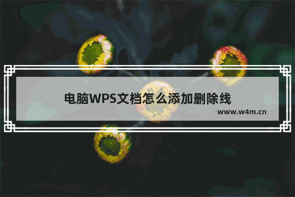 电脑WPS文档怎么添加删除线