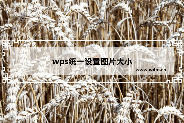 wps统一设置图片大小