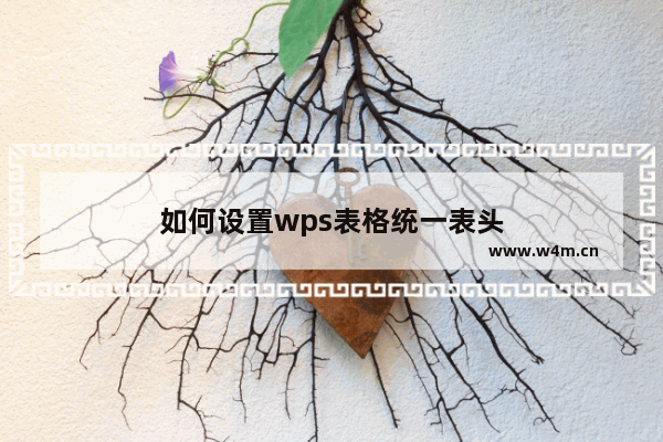 如何设置wps表格统一表头