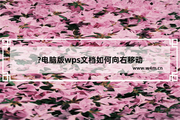 ?电脑版wps文档如何向右移动