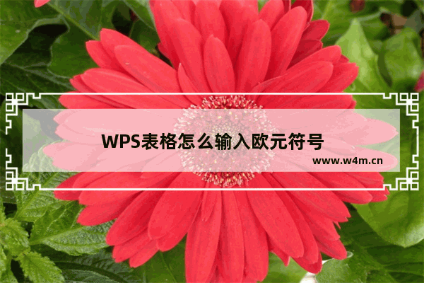 WPS表格怎么输入欧元符号