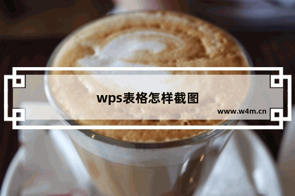 wps表格怎样截图