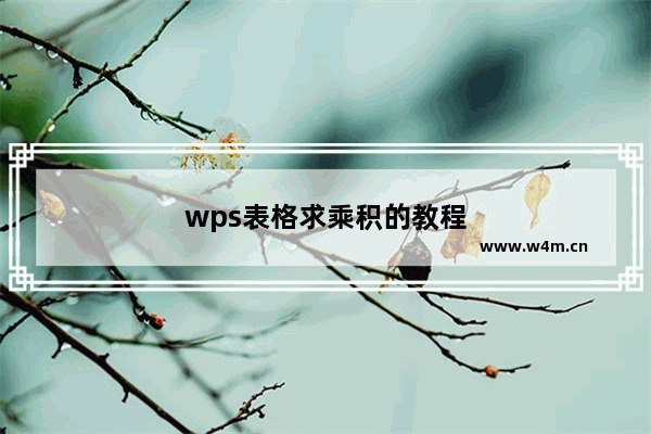 wps表格求乘积的教程