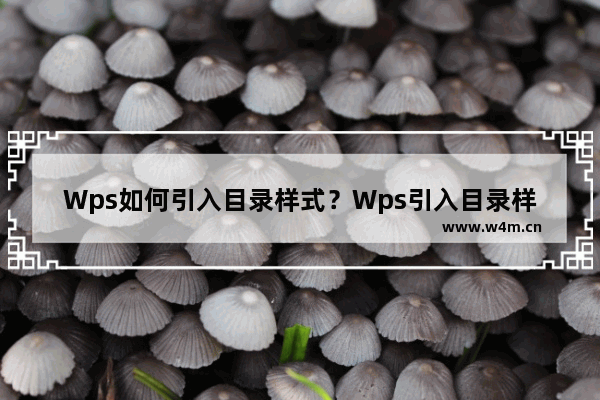 Wps如何引入目录样式？Wps引入目录样式的方法