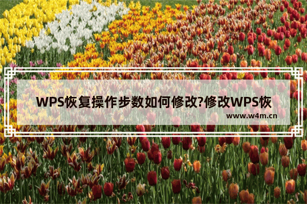 WPS恢复操作步数如何修改?修改WPS恢复操作步数的方法教程