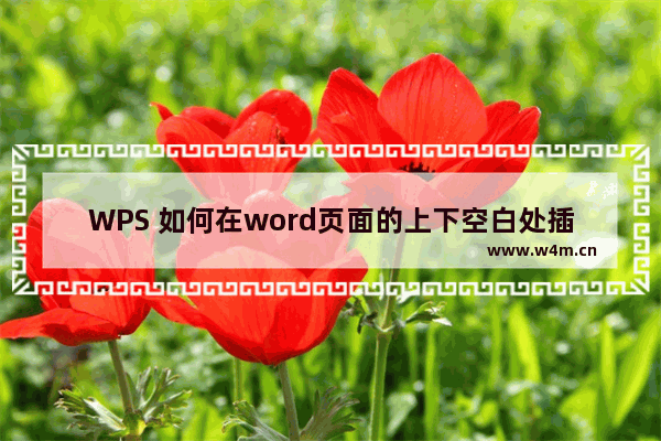 WPS 如何在word页面的上下空白处插入页码