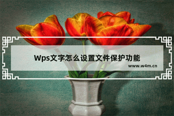 Wps文字怎么设置文件保护功能