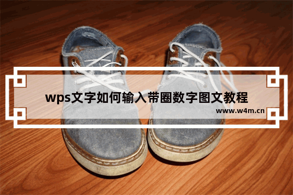 wps文字如何输入带圈数字图文教程