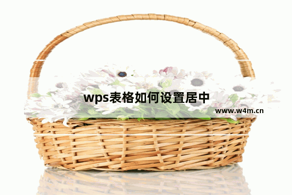 wps表格如何设置居中