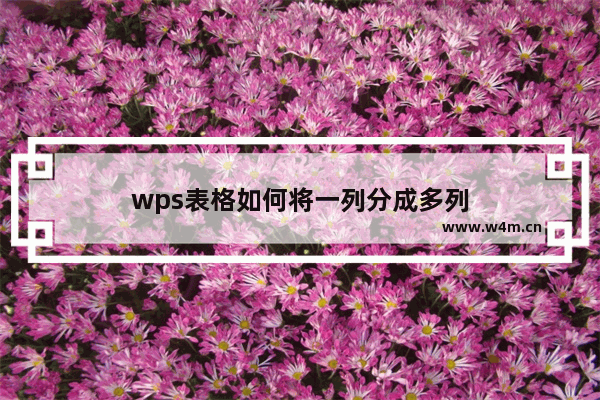 wps表格如何将一列分成多列