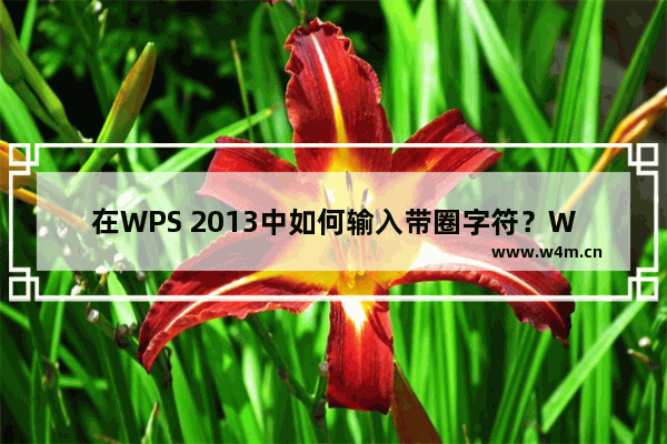 在WPS 2013中如何输入带圈字符？WPS 2013中输入带圈字符的方法