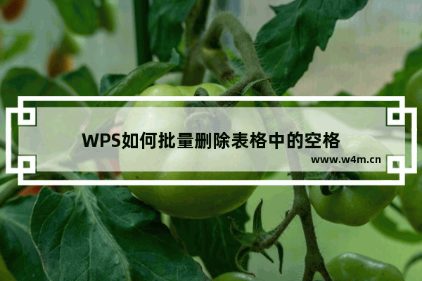 WPS如何批量删除表格中的空格