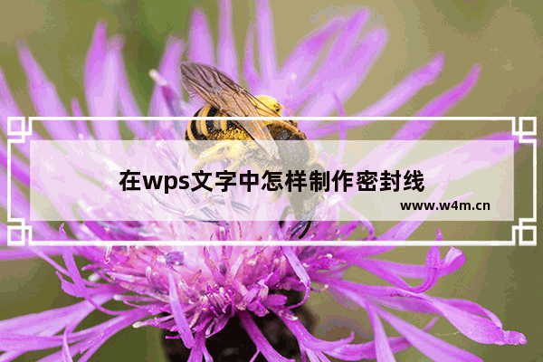 在wps文字中怎样制作密封线