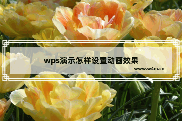 wps演示怎样设置动画效果