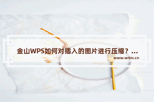 金山WPS如何对插入的图片进行压缩？金山WPS对插入的图片进行压缩的方法