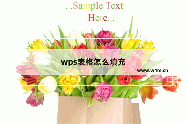 wps表格怎么填充