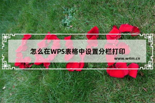 怎么在WPS表格中设置分栏打印